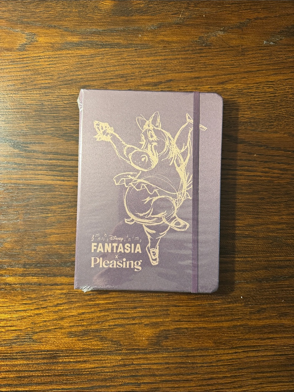 Disney Fantasia Pleasing Purple Hardcover Journal with Gold Illustration
